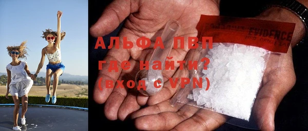 ПСИЛОЦИБИНОВЫЕ ГРИБЫ Гусь-Хрустальный