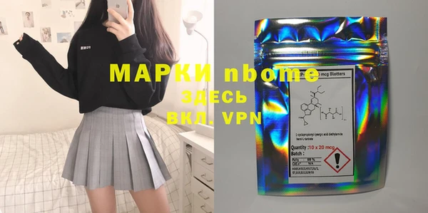ПСИЛОЦИБИНОВЫЕ ГРИБЫ Гусь-Хрустальный