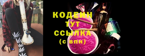 ПСИЛОЦИБИНОВЫЕ ГРИБЫ Гусь-Хрустальный