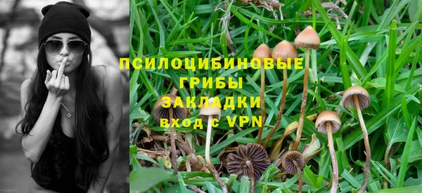 ПСИЛОЦИБИНОВЫЕ ГРИБЫ Гусь-Хрустальный
