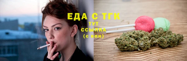 дурь Гусев