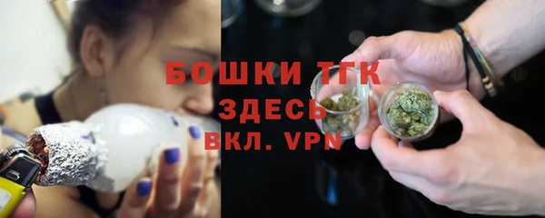 дурь Гусев