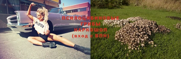 дурь Гусев
