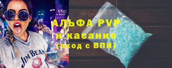 ПСИЛОЦИБИНОВЫЕ ГРИБЫ Гусь-Хрустальный