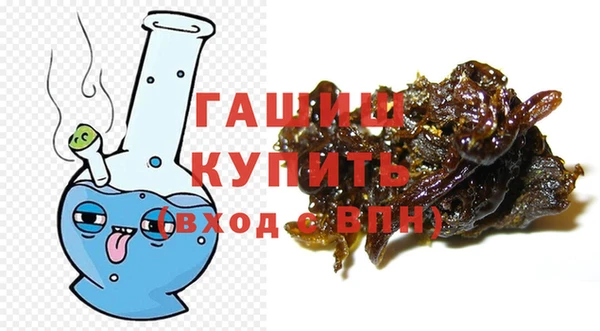 ПСИЛОЦИБИНОВЫЕ ГРИБЫ Гусь-Хрустальный