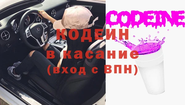 ПСИЛОЦИБИНОВЫЕ ГРИБЫ Гусь-Хрустальный