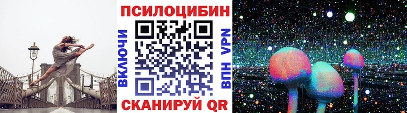 закладка  Озёры  Галлюциногенные грибы Psilocybine cubensis 